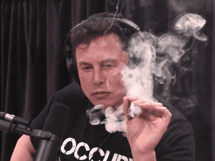 Elon 失意了